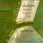 article image -